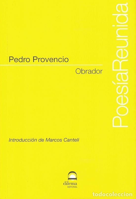 Libros: OBRADOR - PROVENCIO, PEDRO