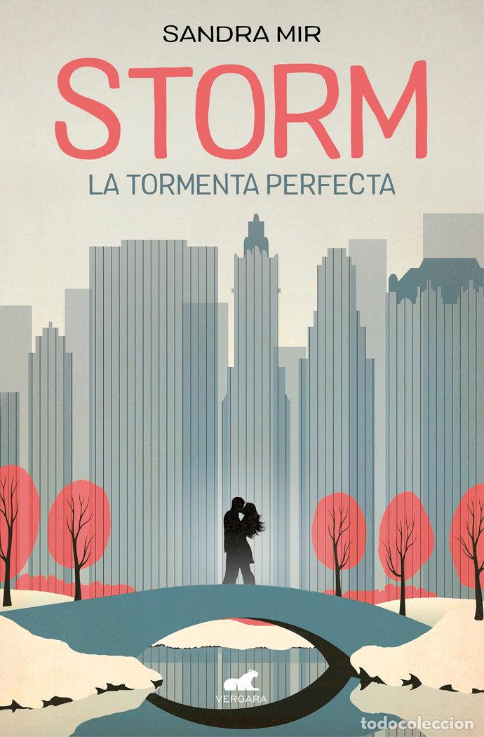 Livros: STORM. LA TORMENTA PERFECTA - MIR, SANDRA
