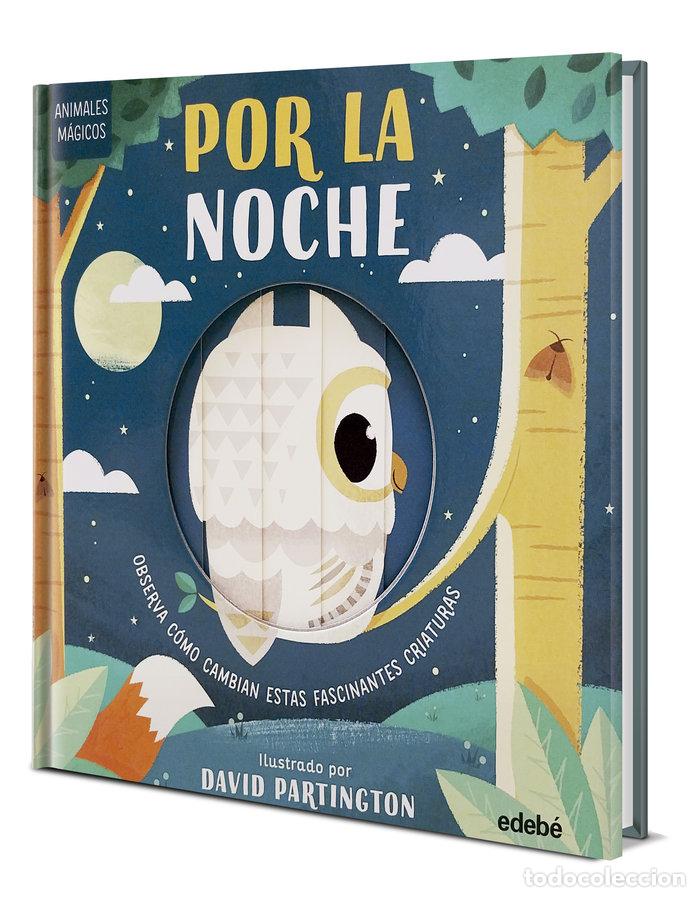 Livros: ANIMALES MAGICOS EN LA NOCHE - CLARK, NEIL