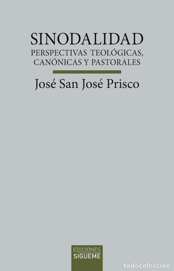 Libros: SINODALIDAD - SAN JOSE PRISCO, JOSE