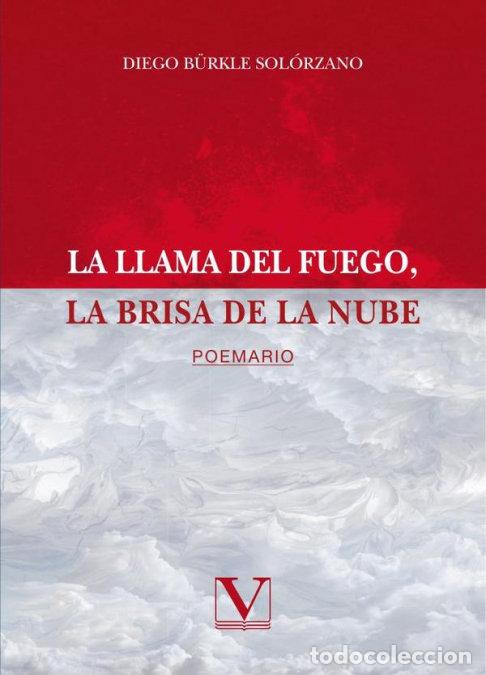 books: LA LLAMA DEL FUEGO LA BRISA DE LA NUBE - B&Uuml;RKLE SOLORZANO, DIEGO