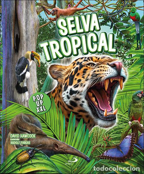 Libri: SELVA TROPICAL POP UP XXL - Hawcock, David