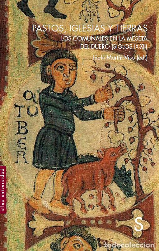 B&uuml;cher: PASTOS IGLESIAS Y TIERRAS - MARTIN VISO, I&Ntilde;AKI