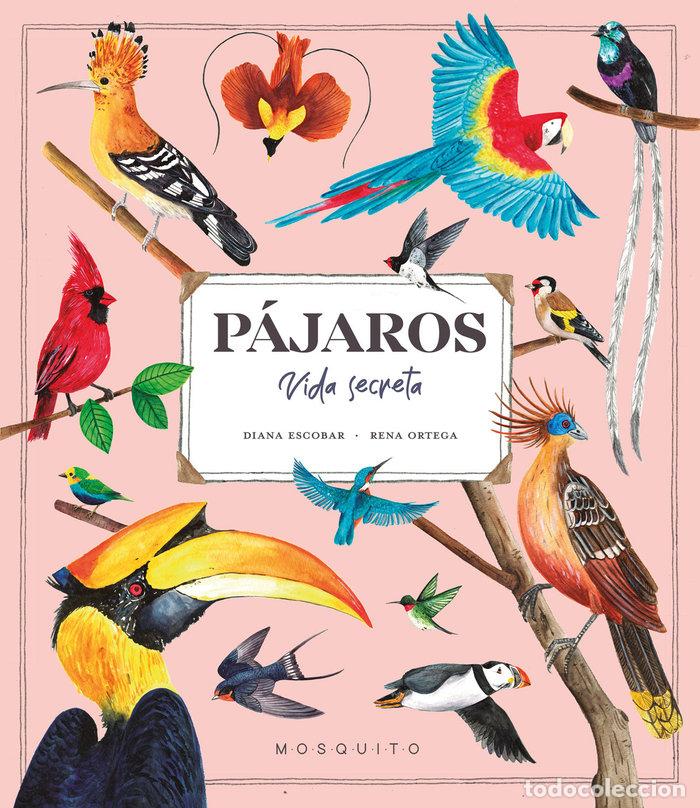 Livros: PAJAROS VIDA SECRETA - ESCOBAR, DIANA