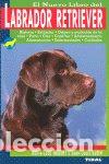 Libri: LABRADOR RETRIEVER - AA.VV