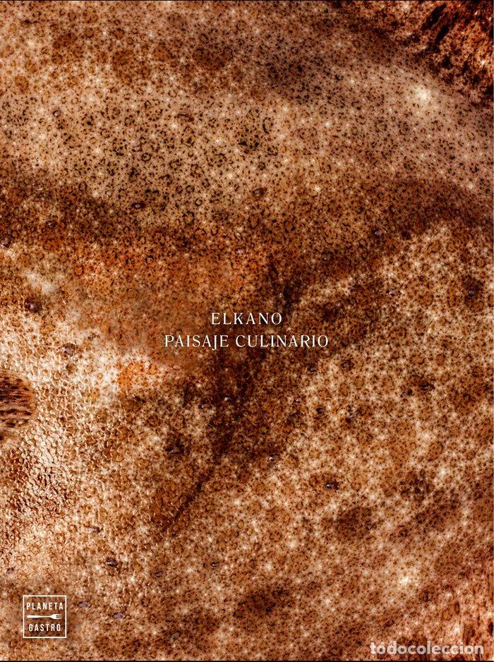 Libri: ELKANO MAR DE BRASAS - ARREGUI, AITOR
