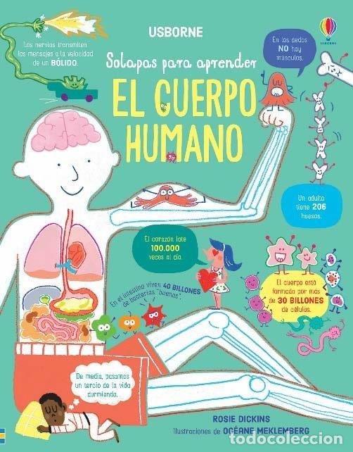 Livres: CUERPO HUMANO,EL - AA.VV