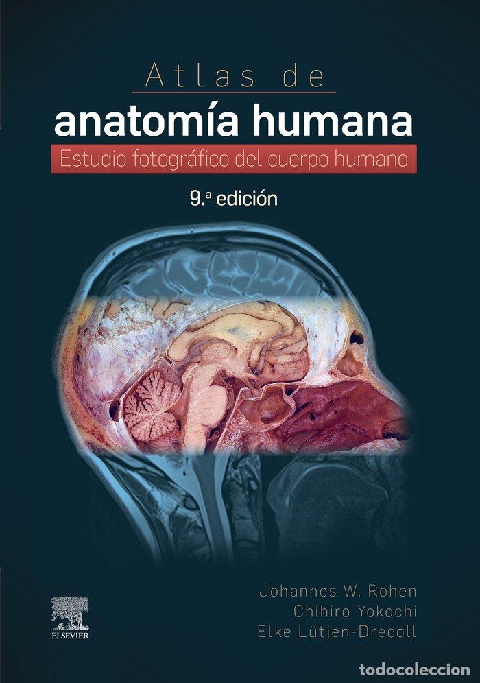 Livres: ATLAS DE ANATOMIA HUMANA (9&ordf; ED.) - ROHEN