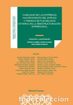 books: VIABILIDAD DE LAS EMPRESAS MANTENIMIENTO DEL EMPLEO MEDIDA - POMPEYO GABRIEL ORTEGA LOZANO