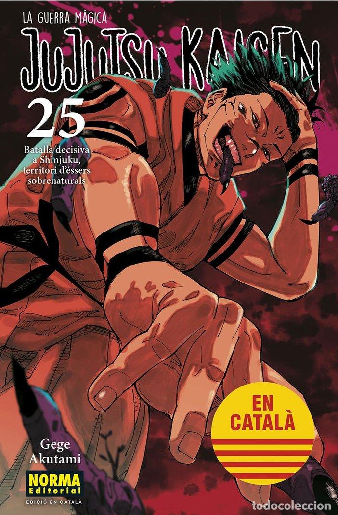 Livres: JUJUTSU KAISEN 25 - AKUTAMI, GEGE