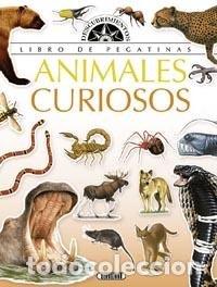 Livros: ANIMALES CURIOSOS - AA.VV