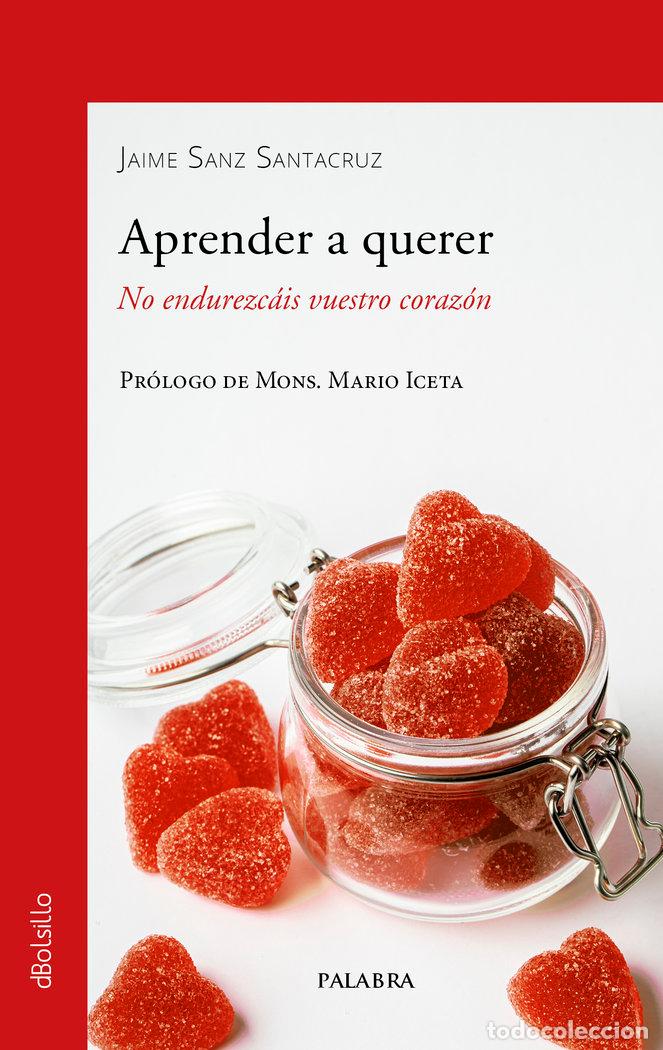 B&uuml;cher: APRENDER A QUERER - SANZ SANTACRUZ, JAIME