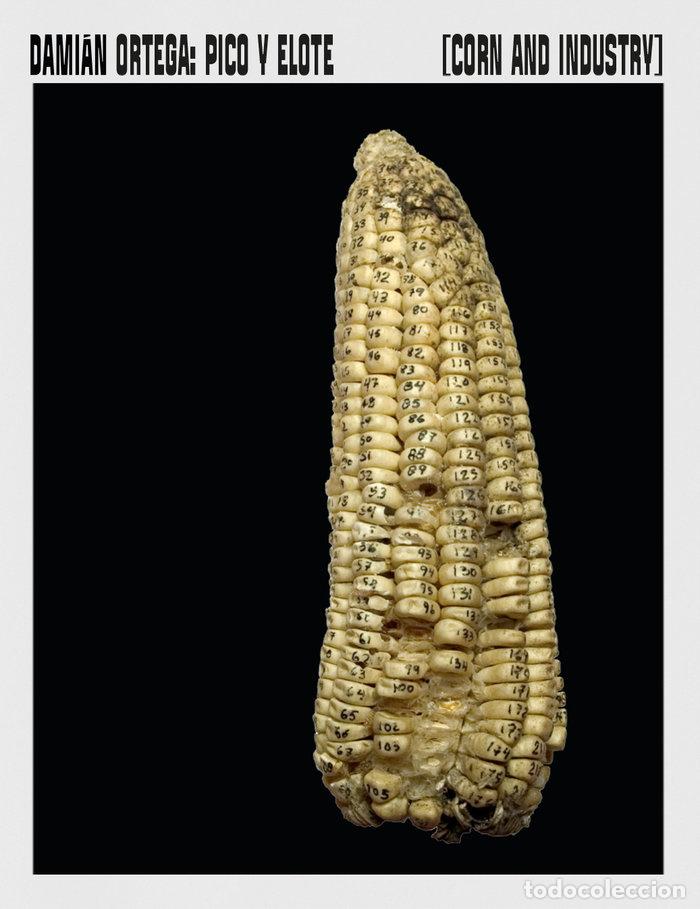 Livres: PICO Y ELOTE CORN AND INDUSTRY - ORTEGA, DAMIAN