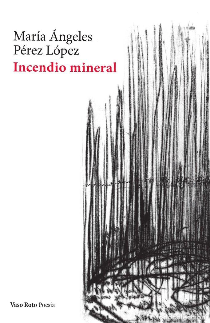 Libri: INCENDIO MINERAL - PEREZ LOPEZ, MARIA ANGELES