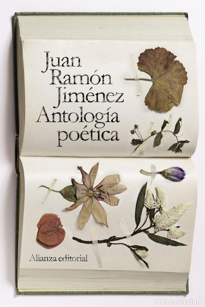 Libros: ANTOLOGIA POETICA JUAN RAMON JIMENEZ AB L208 - JIMENEZ, JUAN RAMON