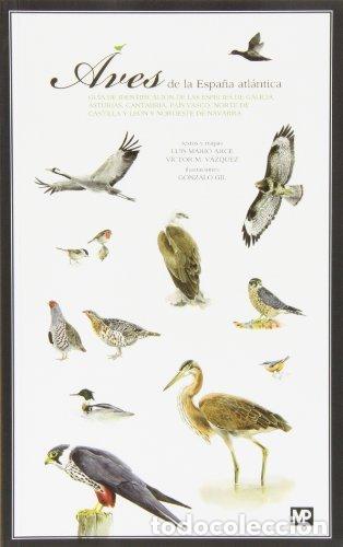 Libros: AVES DE LA ESPA&Ntilde;A ATLANTICA - ARCE VELASCO, LUIS MARIO