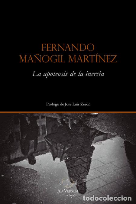 books: BAJO LOS PIES DE LA LLUVIA - SAARI, RAMI