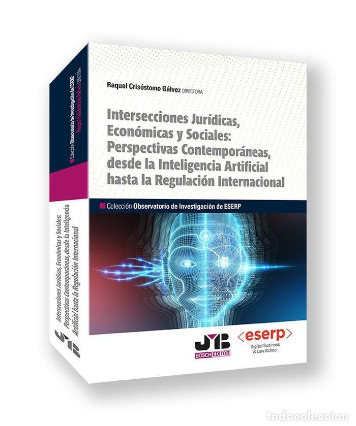 Livres: INTERSECCIONES JURIDICAS ECONOMICAS Y SOCIALES PERSPECTIVAS - RAQUEL, CRISOSTOMO GALVEZ