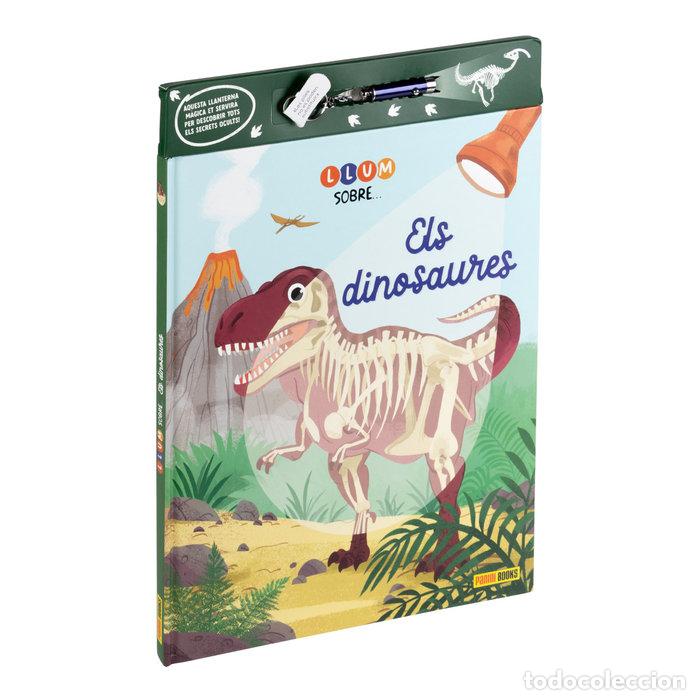 Libri: LLUM SOBRE ELS DINOSAURES - .