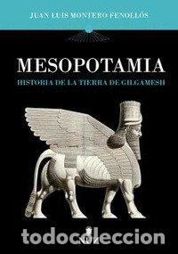 Libri: MESOPOTAMIA - MONTERO FENOLLOS, JUAN LUIS
