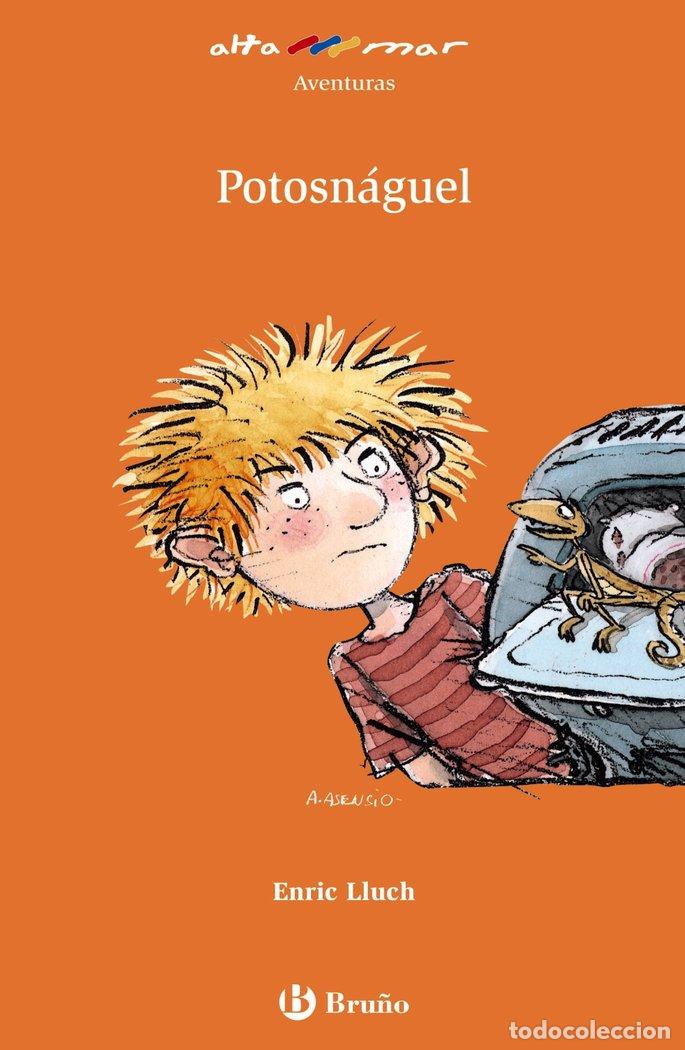 Libros: POTOSNAGUEL AM N&ordm;119 NE - LLUCH, ENRIC