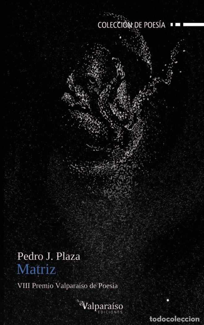 books: MATRIZ - PLAZA, PEDRO J