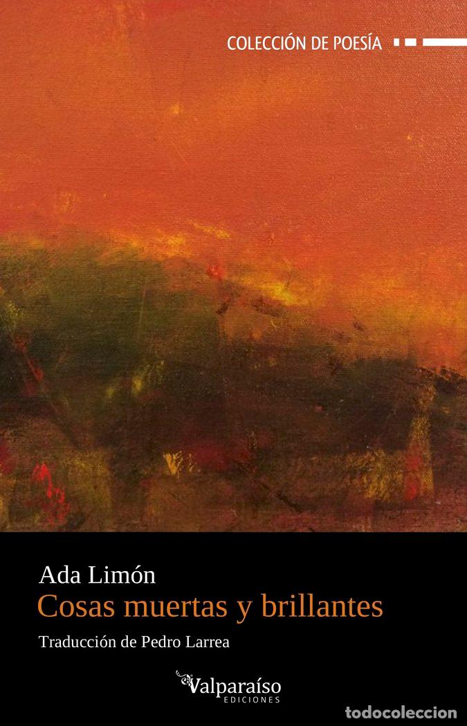 Livros: COSAS MUERTAS Y BRILLANTES - LIMON, ADA