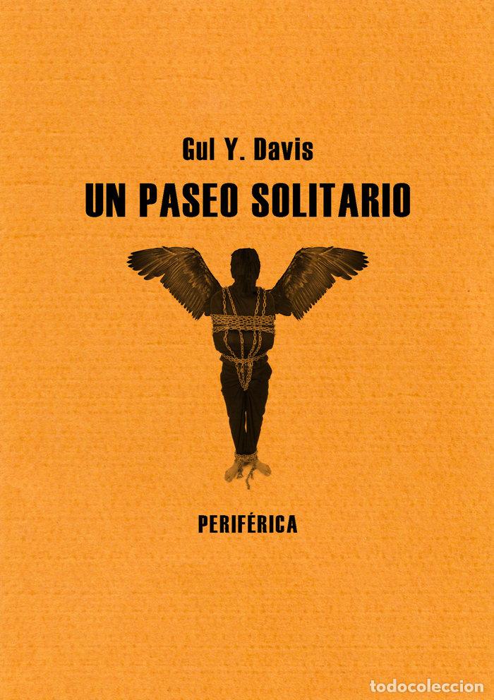 Libri: UN PASEO SOLITARIO - DAVIS, GUY Y.
