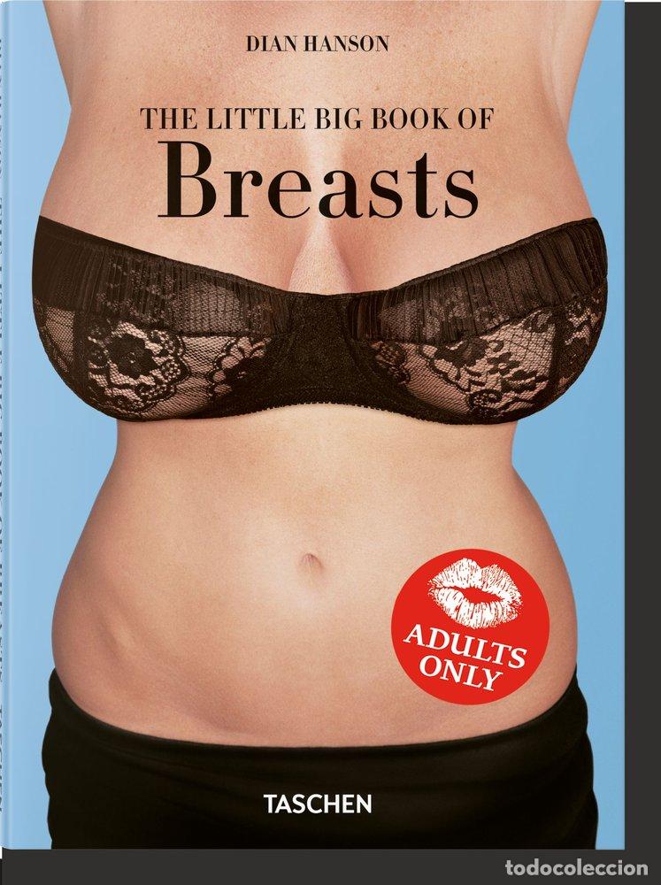 Libri: BIG BOOK OF BREASTS,THE - HANSON, DIAN