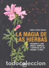 Libros: LA MAGIA DE LAS HIERBAS SOKOA - VAZQUEZ, GABRIEL