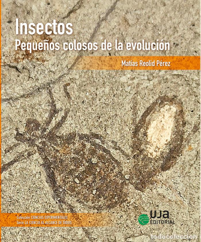 Libros: INSECTOS PEQUE&Ntilde;OS COLOSOS DE LA EVOLUCION - REOLID PEREZ, MATIAS