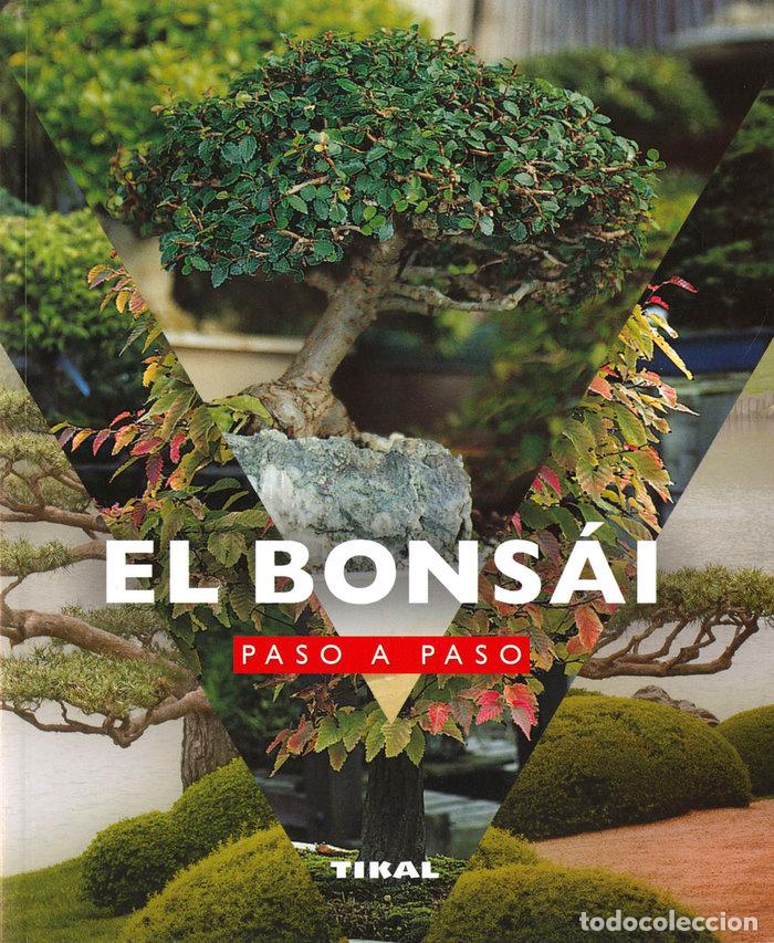 Libri: EL BONSAI PASO A PASO - GRANDJEAN, BENO&times;T