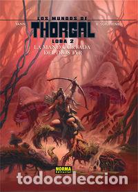 Libros: MUNDOS DE THORGAL LOBA 2 MANO CORTADA DEL DIOS TYR - YANN