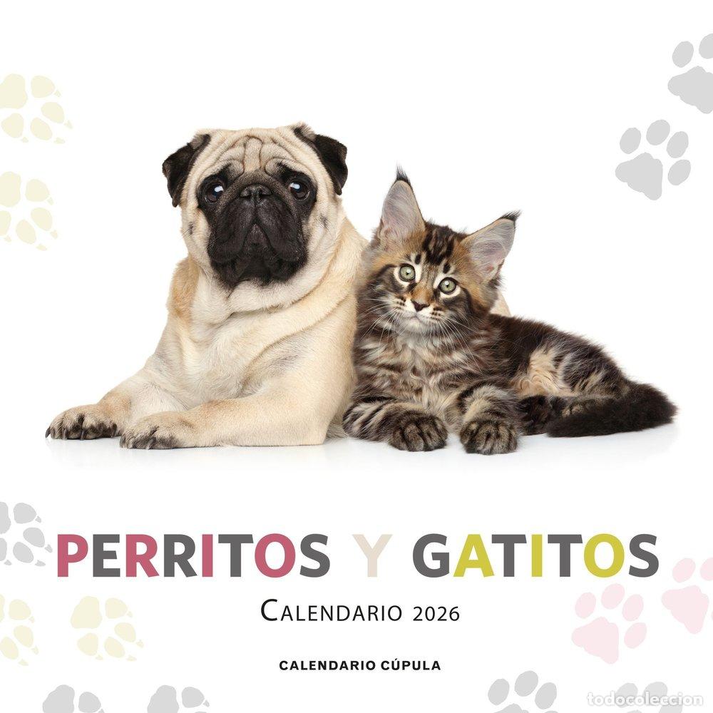 Libros: CALENDARIO PERRITOS Y GATITOS 2026 - AA.VV