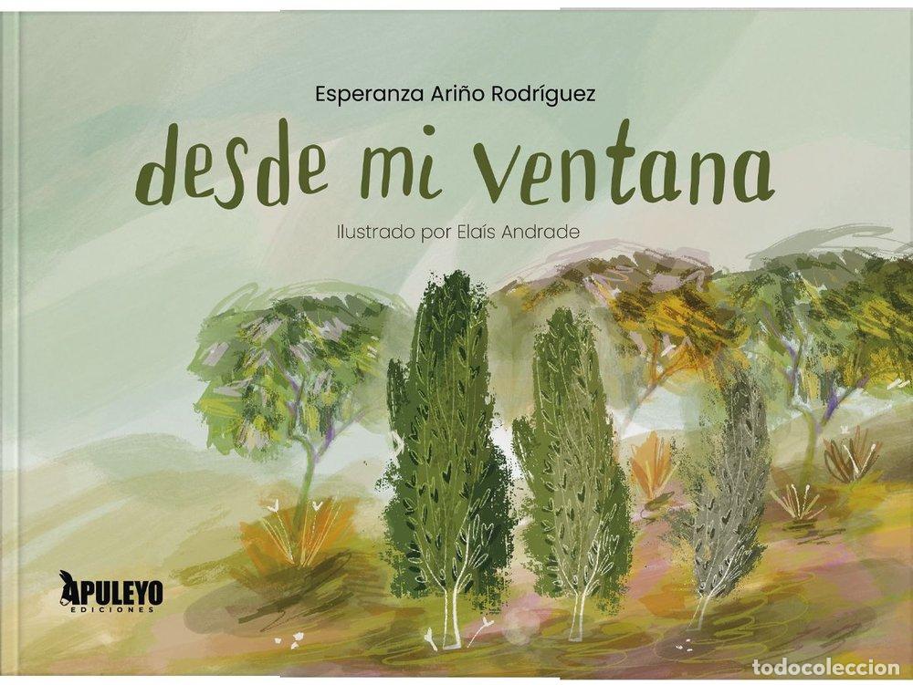 Livros: DESDE MI VENTANA - ARI&Ntilde;O RODRIGUEZ, ESPERANZA