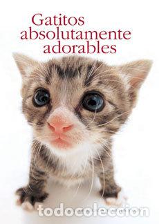 Libros: GATITOS ABSOLUTAMENTE ADORABLES - EXLEY, HELEN
