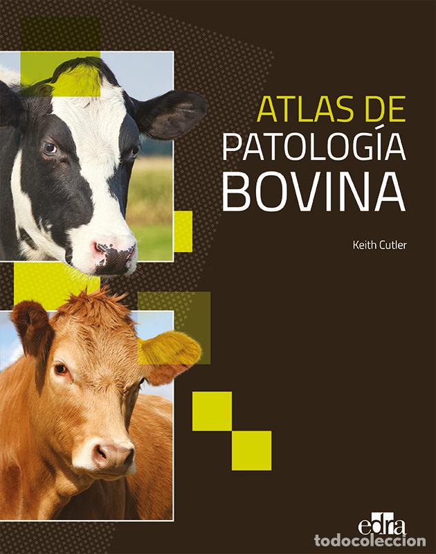 Livros: ATLAS PATOLOGIA BOVINA - CUTLER, KEITH L.