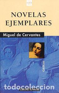 Libri: NOVELAS EJEMPLARES - CERVANTES