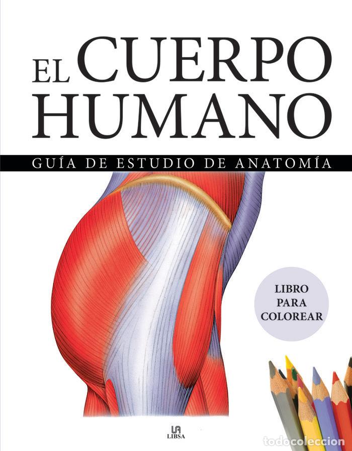 Libros: EL CUERPO HUMANO - EQUIPO EDITORIAL AMBER BOOKS