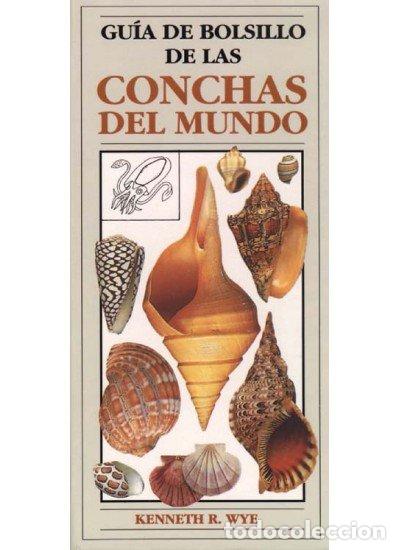books: CONCHAS DEL MUNDO GUIA BOLSILLO - WYE, KENNETH