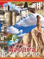 Livres: BARAJA DE NAVARRA ED ESPECIAL - AA.VV