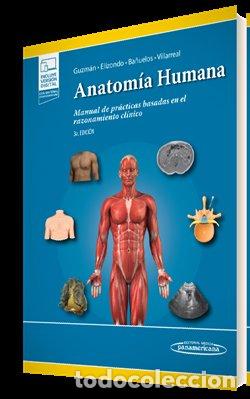 Libri: ANATOMIA HUMANA - AA.VV