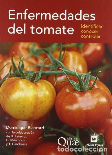 Libri: ENFERMEDADES DEL TOMATE - BLANCARD, DOMINIQUE