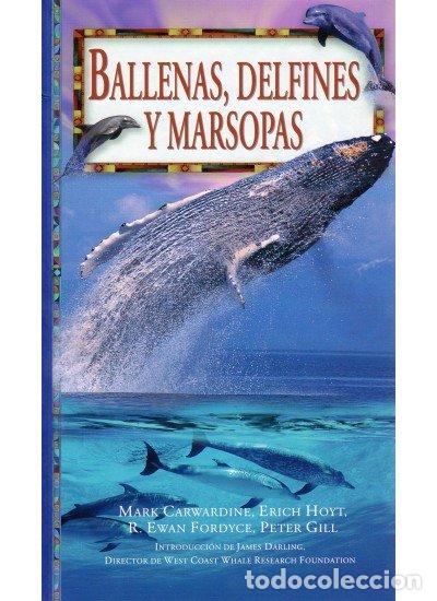 Livres: BALLENAS DELFINES Y MARIPOSAS GF - AA.VV.
