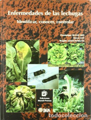 B&uuml;cher: ENFERMEDADES DE LAS LECHUGAS. IDENTIFICAR, CONOCER Y CONTROL - BLANCARD, DOMINIQUE