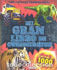 B&uuml;cher: MI GRAN LIBRO DE CURIOSIDADES - AA.VV