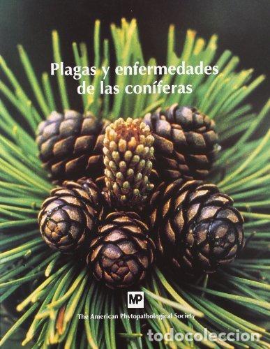 Libros: PLAGAS Y ENFERMEDADES DE LAS CONIFERAS MUNDI-PRENSA - HANSEN, E.LEWIS, K.