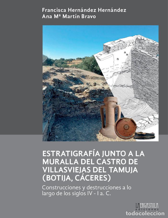 Libri: ESTRATIGRAFIA JUNTO A LA MURALLA DEL CASTRO DE VILLASVIEJAS - HERNANDEZ HERNANDEZ, FRANCISCA