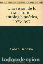 Libri: UNA VISION DE LO TRANSITORIO - GALVEZ, FRANCISCO