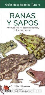 Livres: RANAS Y SAPOS GUIAS DESPLEGABLES TUNDRA - HERNANDEZ, VICTOR J